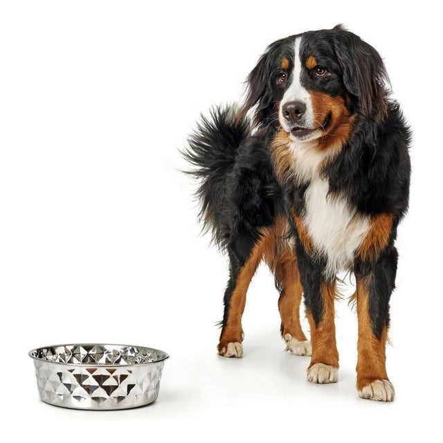Mangeoire pour chiens Hunter Namy Argenté Acier inoxydable Élégant (20,4 x 24,3 x 7,3 cm)