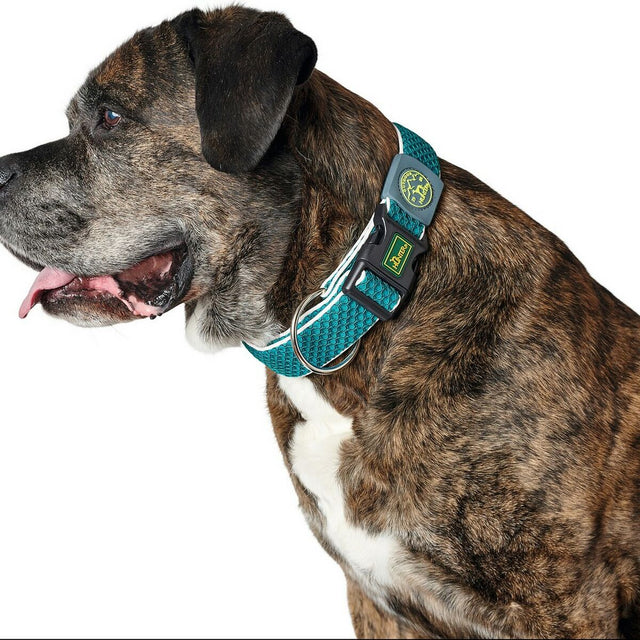 Collier pour Chien Hunter Plus Fil turquoise Turquoise Taille L (40-60 cm)