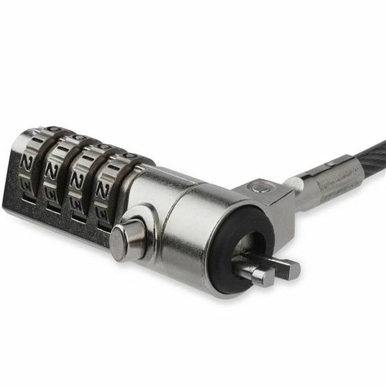 Câble de sécurité Startech LTLOCK4D             (2 m)