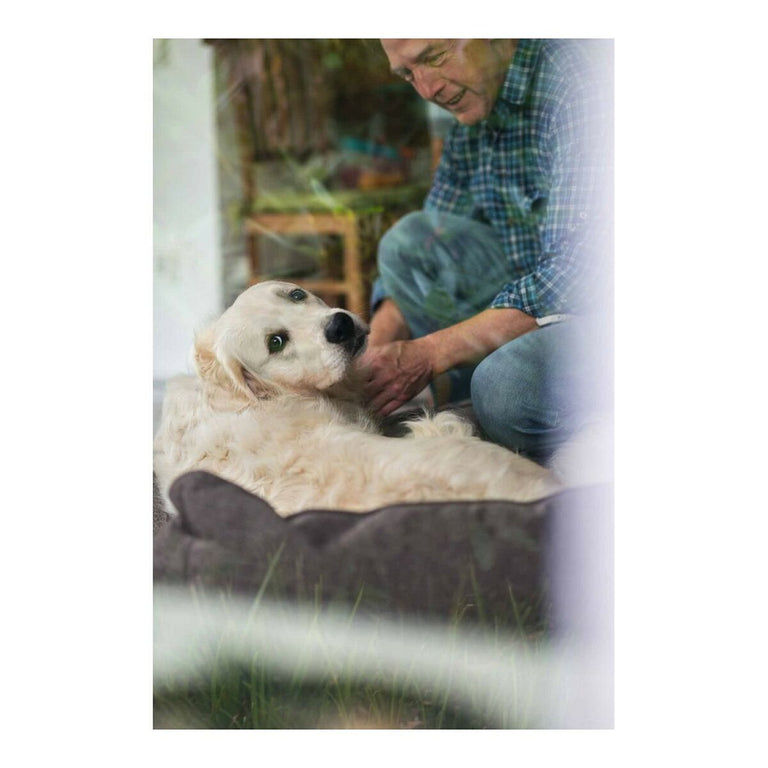 Canapé pour chien Hunter Boston Marron (60 x 50 cm)