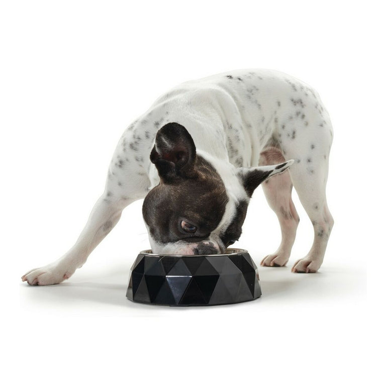 Mangeoire pour chiens Hunter Kimberley Mélamine Noir Acier inoxydable Triangulaire (14 x 14 x 4,5 cm)