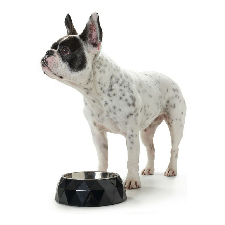 Mangeoire pour chiens Hunter Kimberley Mélamine Noir Acier inoxydable Triangulaire (14 x 14 x 4,5 cm)