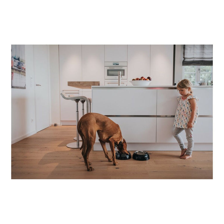 Mangeoire pour chiens Hunter Kimberley Mélamine Noir Acier inoxydable Triangulaire (14 x 14 x 4,5 cm)