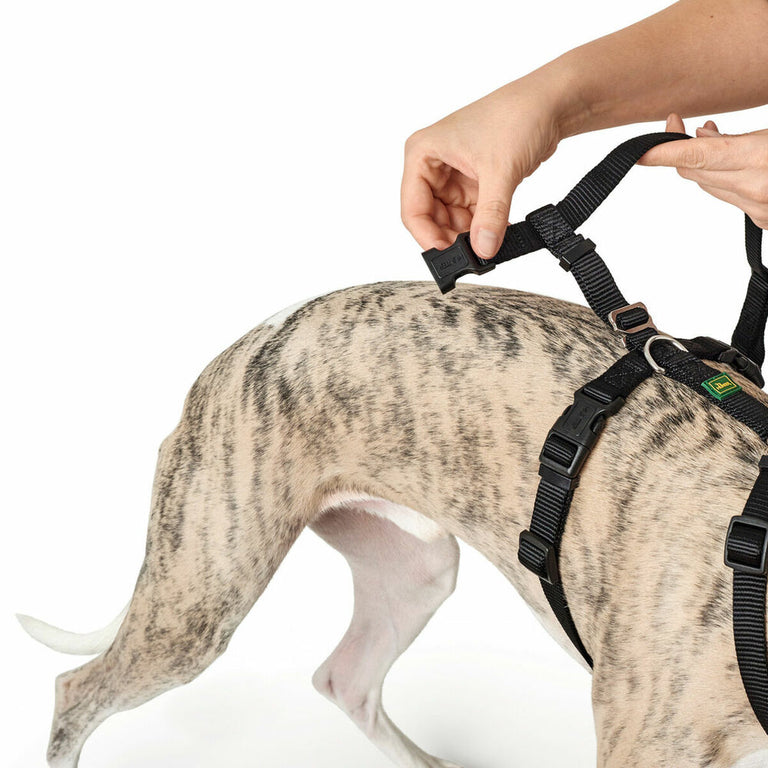 Harnais pour Chien Hunter Noir Taille M/L