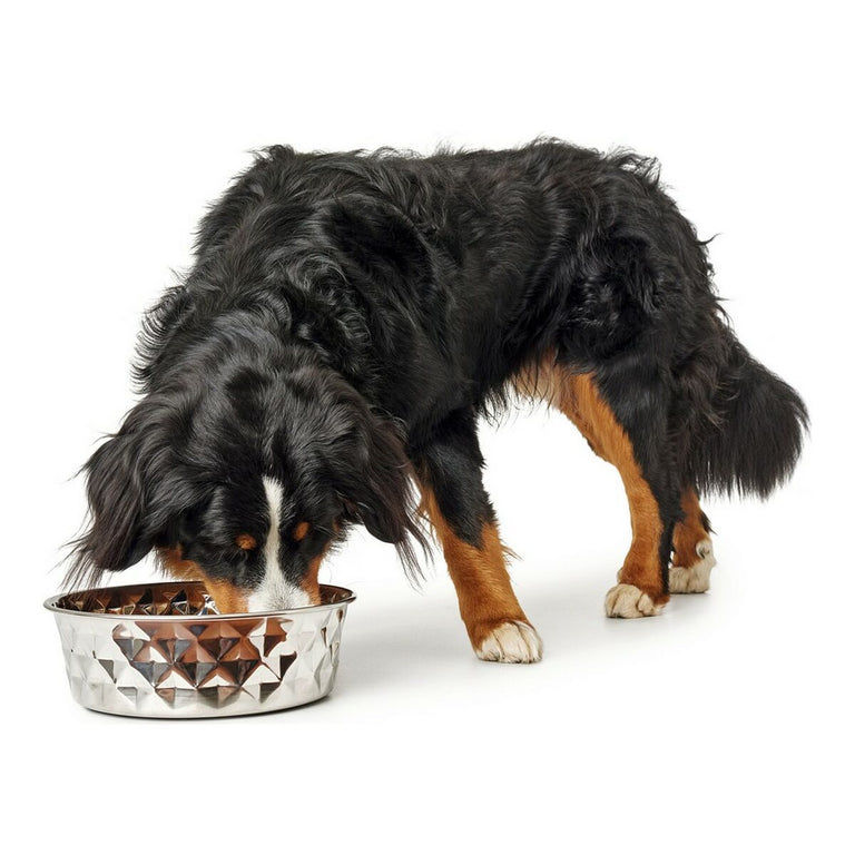 Mangeoire pour chiens Hunter Acier inoxydable Élégant (180 ml)