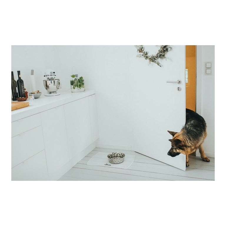 Mangeoire pour chiens Hunter Namy Argenté Acier inoxydable Élégant (20,4 x 24,3 x 7,3 cm)