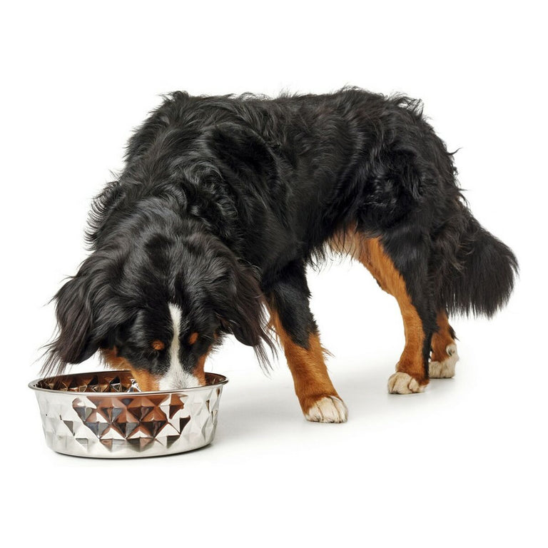 Mangeoire pour chiens Hunter Namy Argenté Acier inoxydable Élégant (23,2 x 27,7 x 8,5 cm)