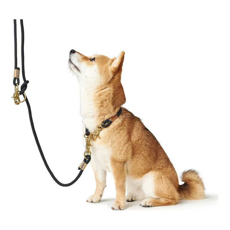 Collier pour Chien Hunter OSS Noir (40 cm)