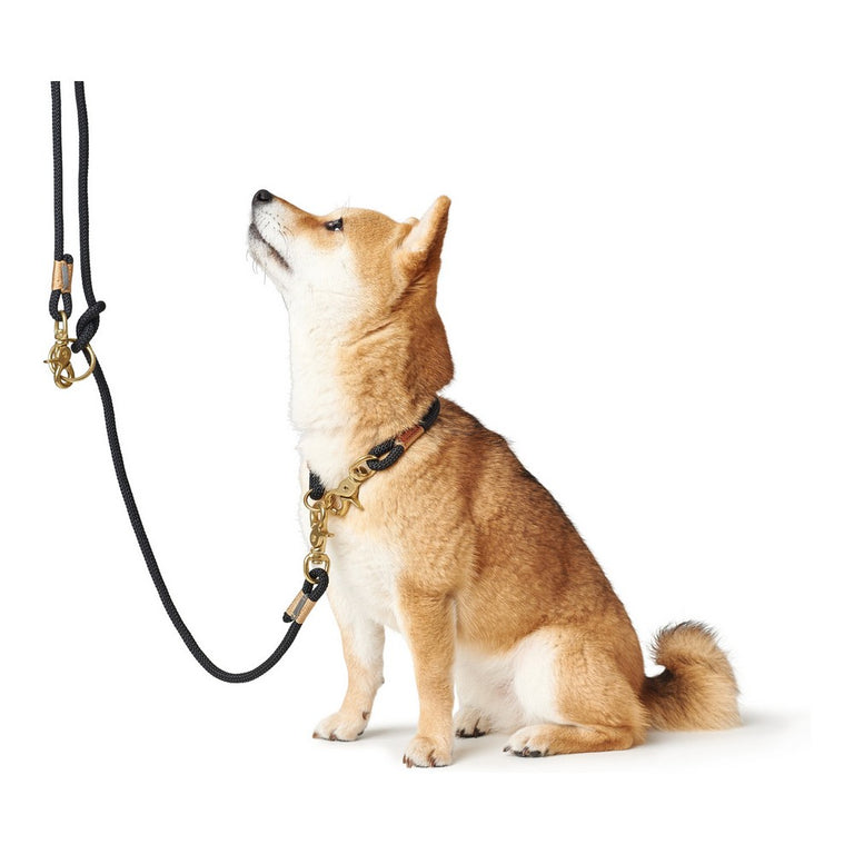 Laisse pour Chien Hunter OSS Noir (200 cm)