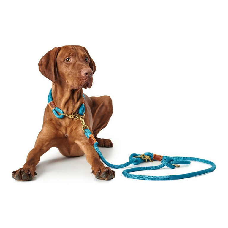 Laisse pour Chien Hunter OSS Turquoise (200 cm)