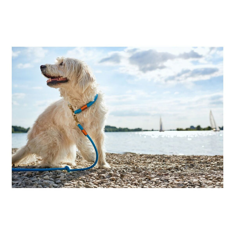 Laisse pour Chien Hunter OSS Turquoise (200 cm)