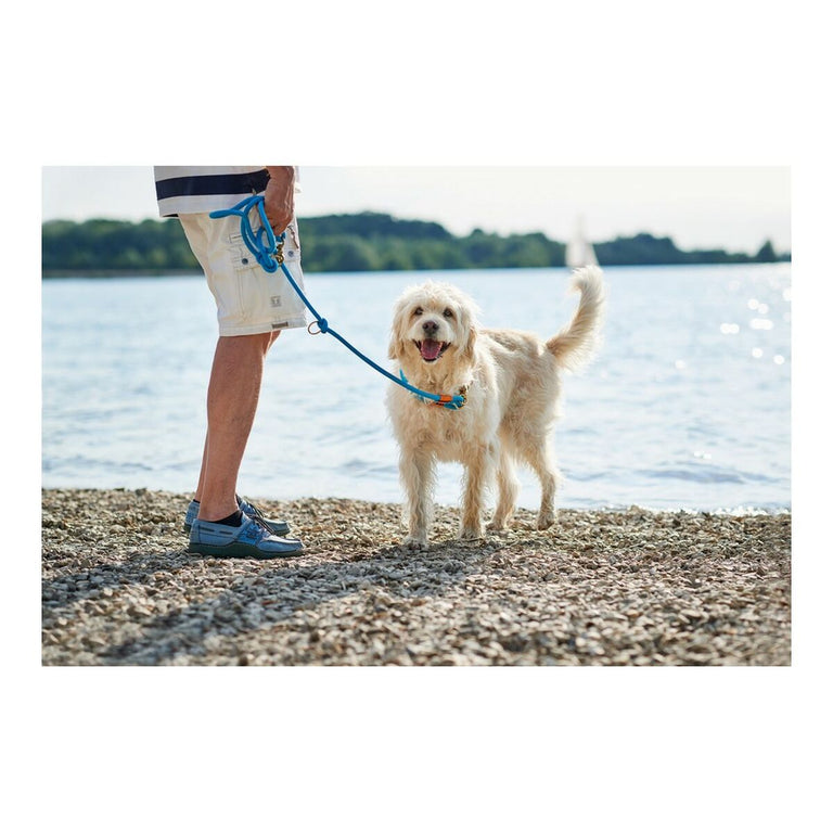 Laisse pour Chien Hunter OSS Turquoise (200 cm)