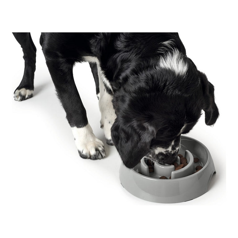 Mangeoire pour chiens Hunter Mélamine (550 ml)