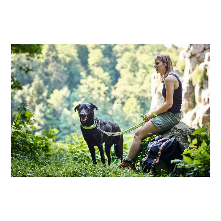 Laisse pour Chien Hunter HILO Orange (200 cm)