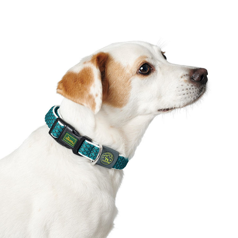 Collier pour Chien Hunter Vario Basic Fils turquoise Turquoise Taille S (30-43 cm)