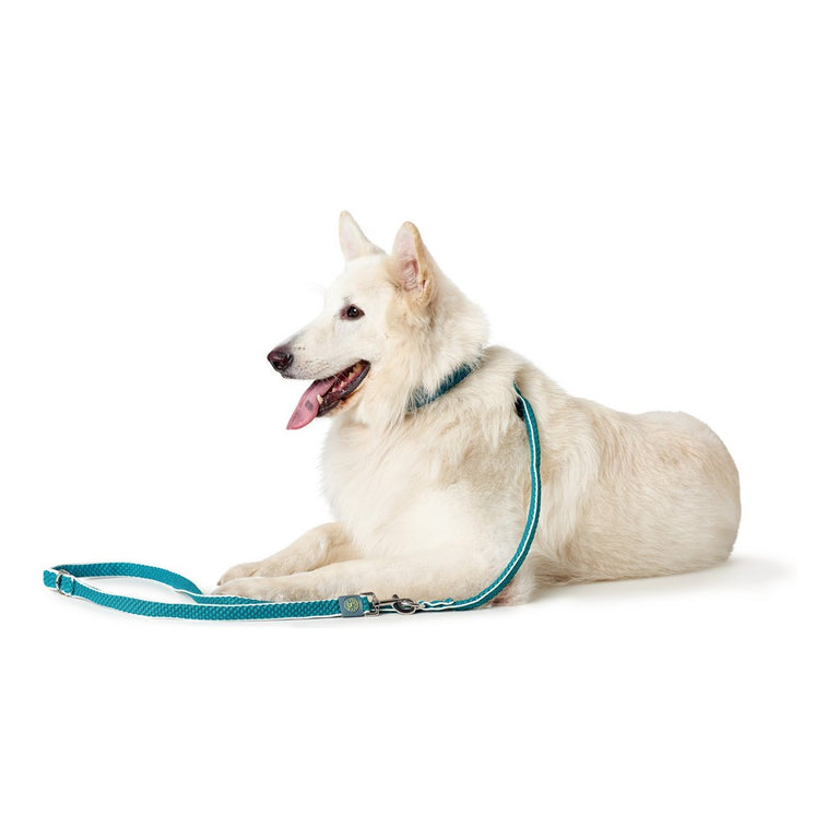 Laisse pour Chien Hunter HILO Turquoise (200 cm)