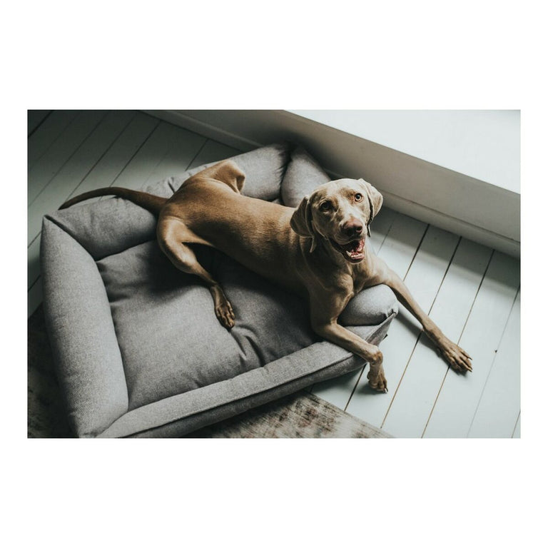 Canapé pour chien Hunter Textile (Reconditionné A)