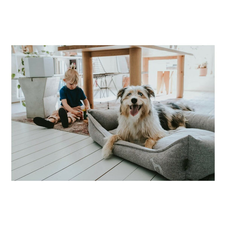 Canapé pour chien Hunter Textile (Reconditionné A)