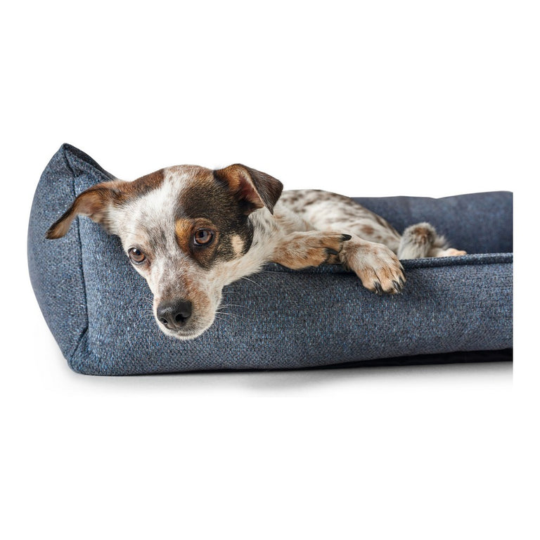 Canapé pour chien Hunter Prag 90 x 70 cm Bleu