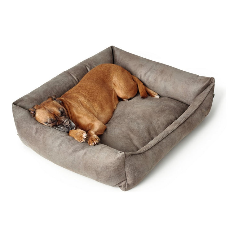 Canapé pour chien Hunter Bologna Cuir synthétoqie Gris (70 x 50 cm)