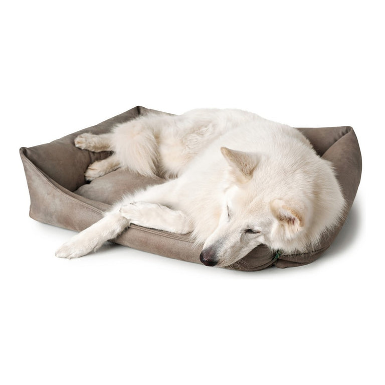 Canapé pour chien Hunter Bologna Cuir synthétoqie Gris (70 x 50 cm)