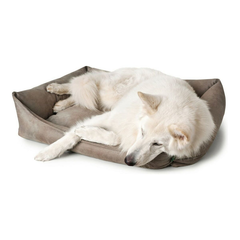 Canapé pour chien Hunter Bologna Cuir synthétoqie Gris (90 x 70 cm)