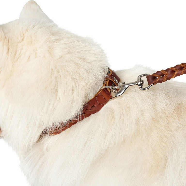 Collier pour Chien Hunter Solid Education Cognac (33-38 cm)