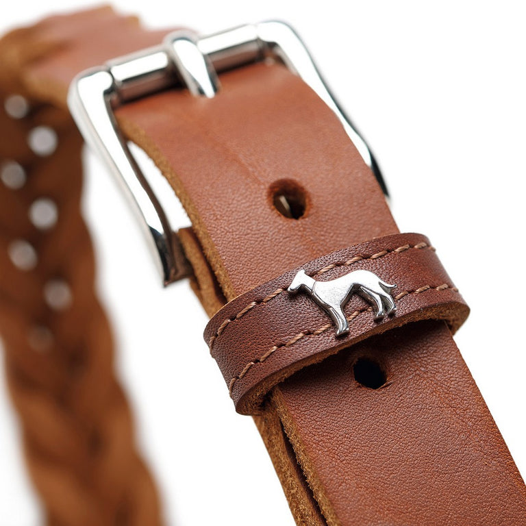 Collier pour Chien Hunter Solid Education Cognac (35-44 cm)