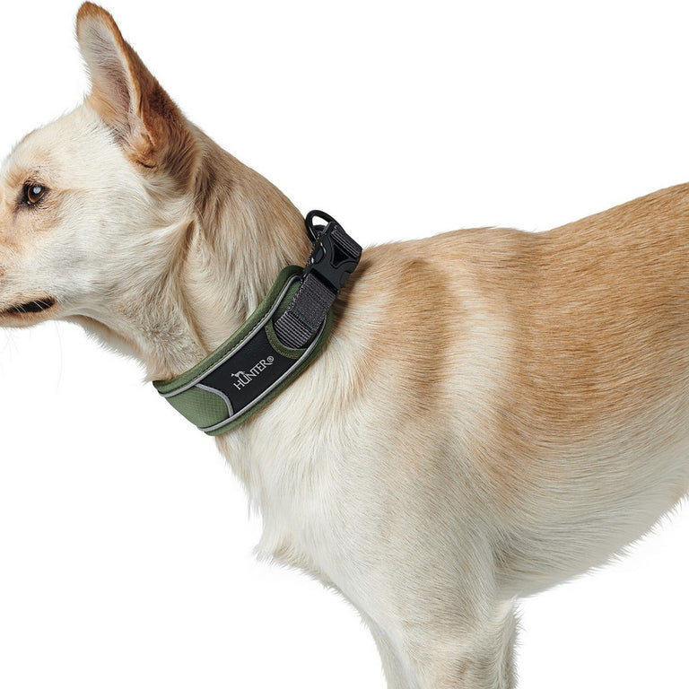 Collier pour Chien Hunter Divo 35-45 cm Vert