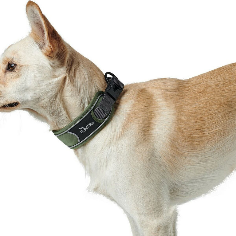 Collier pour Chien Hunter Divo Vert (55-65 cm)
