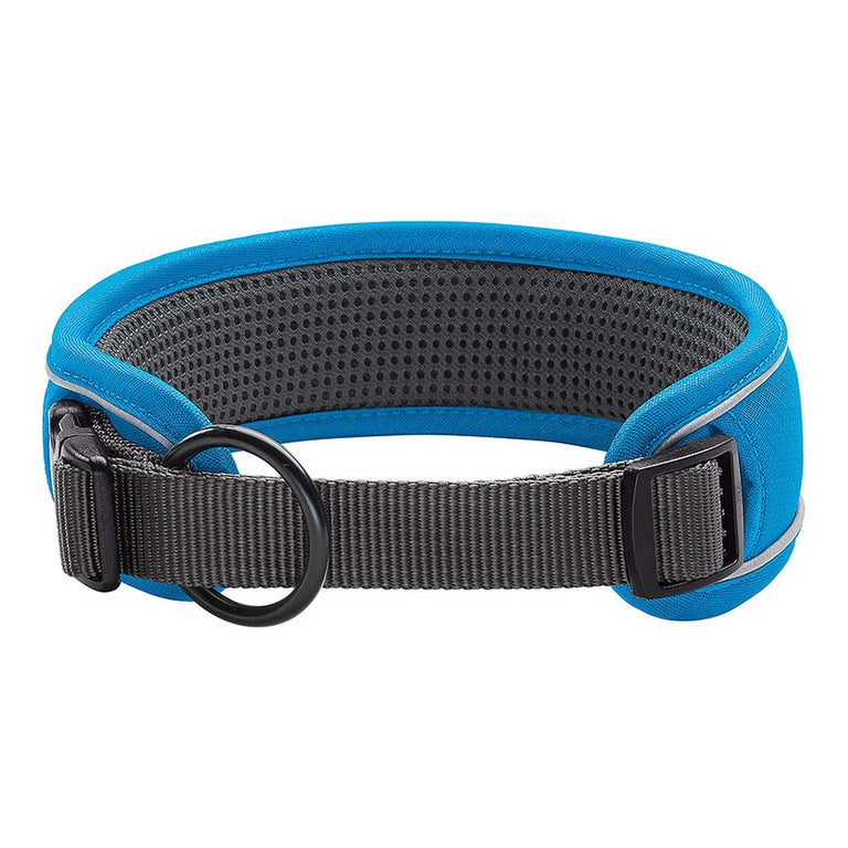 Collier pour Chien Hunter Divo Turquoise (25-35 cm)