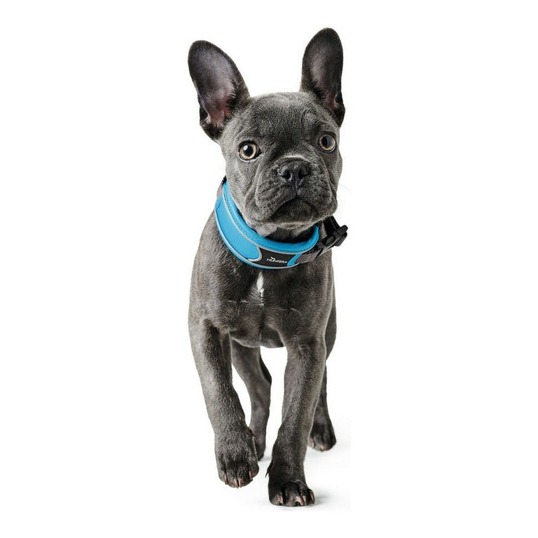 Collier pour Chien Hunter Divo turquoise Turquoise (55-65 cm)