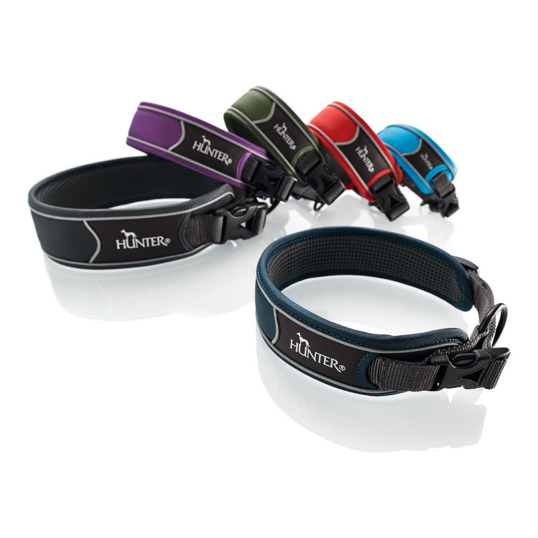 Collier pour Chien Hunter Divo 45-55 cm Bleu foncé