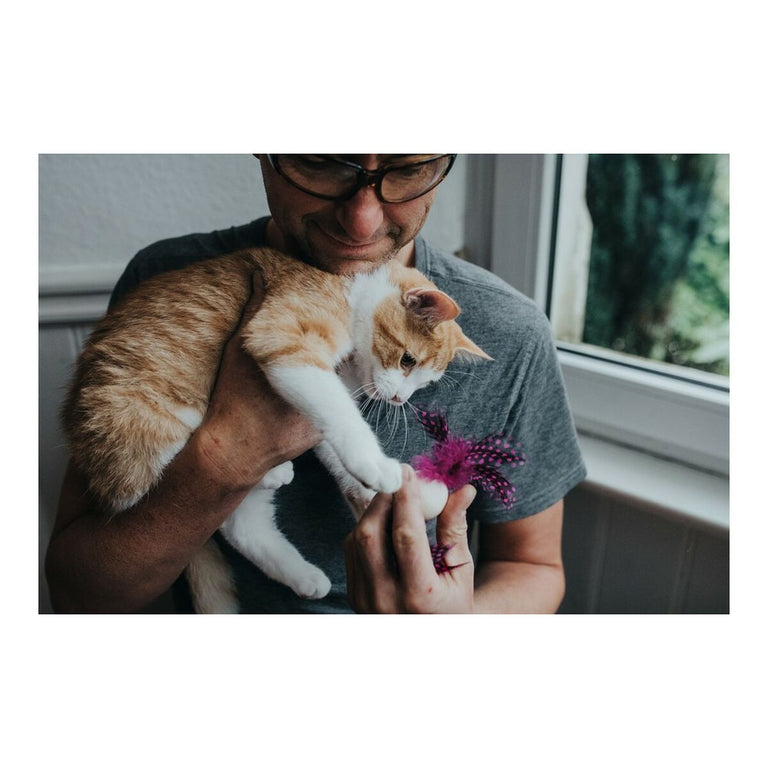 Jouet pour chats Hunter Mala Plumes Rose Ballon (4 cm)