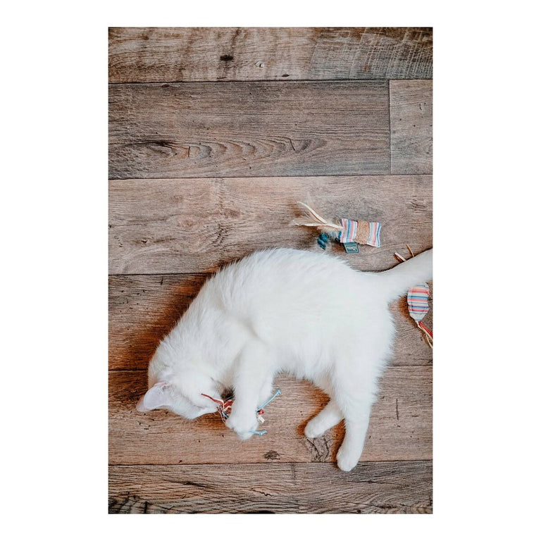 Canne à chat Hunter Limana Cushion (32 cm)
