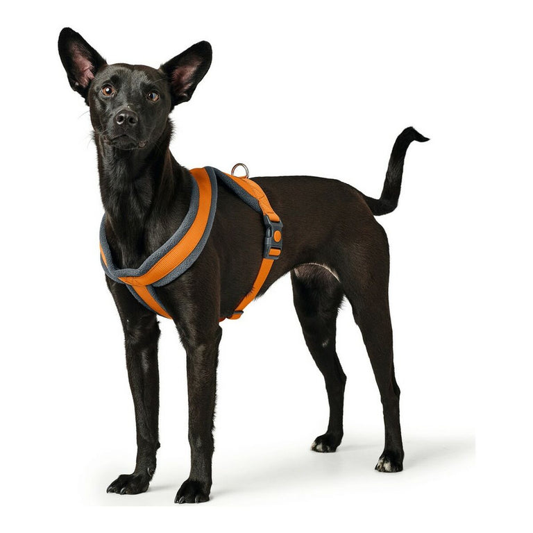 Harnais pour Chien Hunter London Comfort 52-62 cm Orange Taille S/M