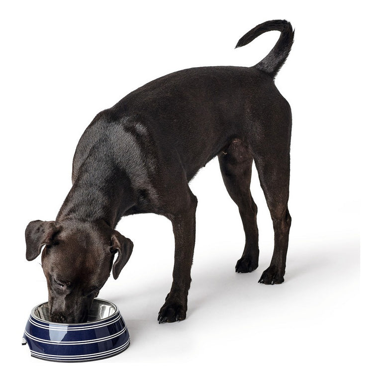 Mangeoire pour chiens Hunter Bleu Mélamine (160 ml)