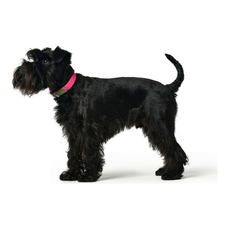 Collier pour Chien Hunter Convenience Comfort Rose Taille M/L (42-50 cm)