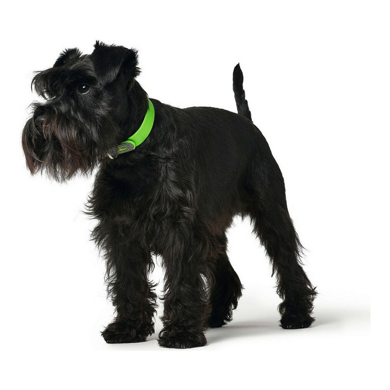 Collier pour Chien Hunter Convenience Comfort Taille M Vert (37-45 cm)