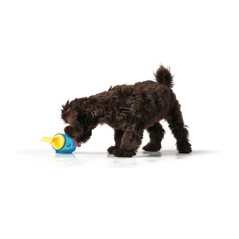 Jouet pour chien Hunter Aqua Alaska Rafraîchissant Pieuvre