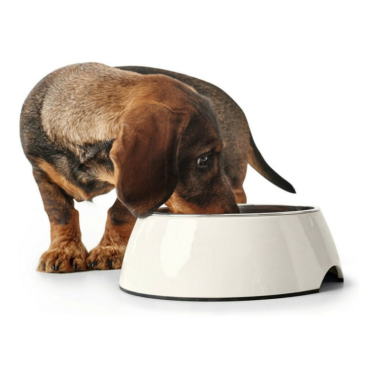 Mangeoire pour chiens Hunter Acier inoxydable Mélamine Blanc (18,5 x 18,5 x 9,5 cm)