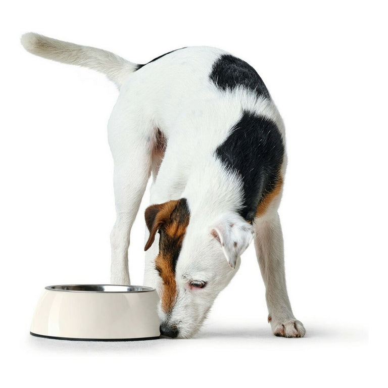 Mangeoire pour chiens Hunter Acier inoxydable Mélamine Blanc (22 x 22 x 11,5 cm)