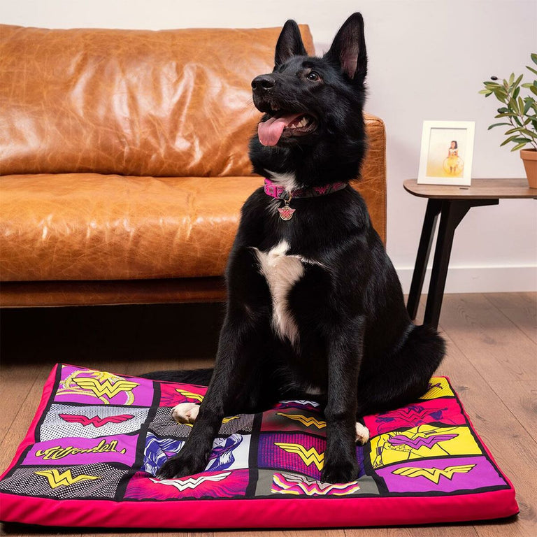 Lit pour chien Wonder Woman Rouge