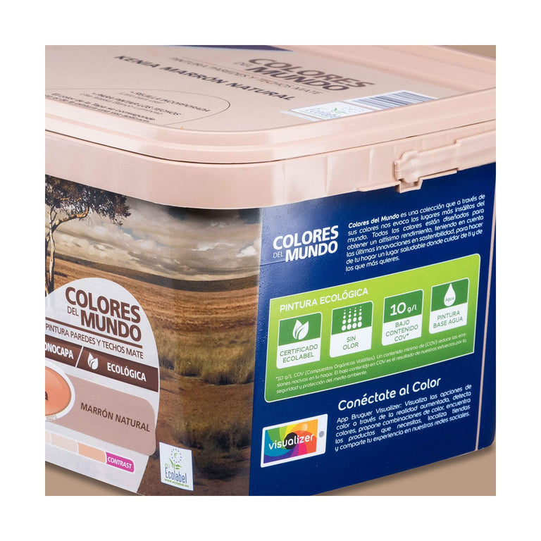 Peinture Bruguer Kenia 4 L Marron naturel