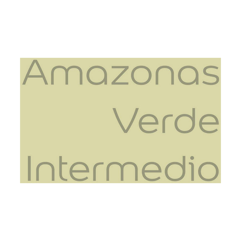 Peinture Bruguer 5057227 Amazonas Vert clair 4 L
