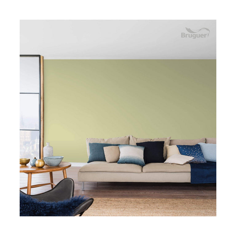 Peinture Bruguer 5057227 Amazonas Vert clair 4 L