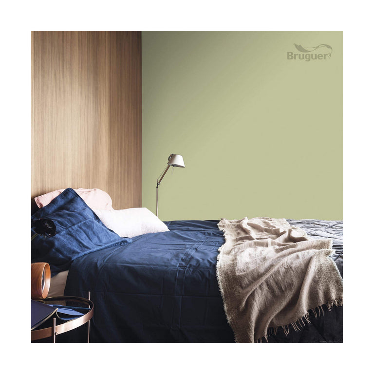 Peinture Bruguer 5057227 Amazonas Vert clair 4 L