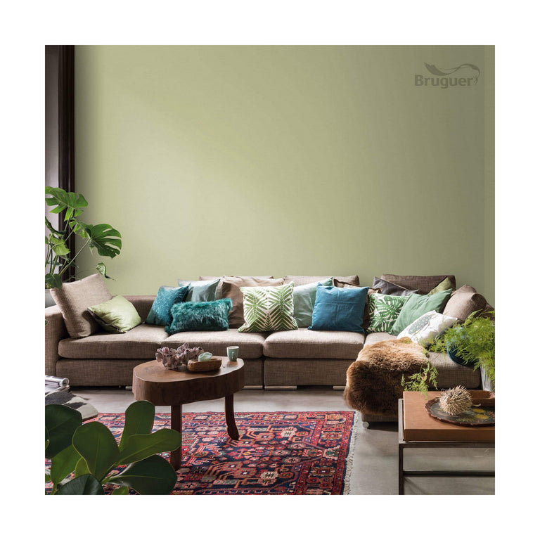 Peinture Bruguer 5057227 Amazonas Vert clair 4 L