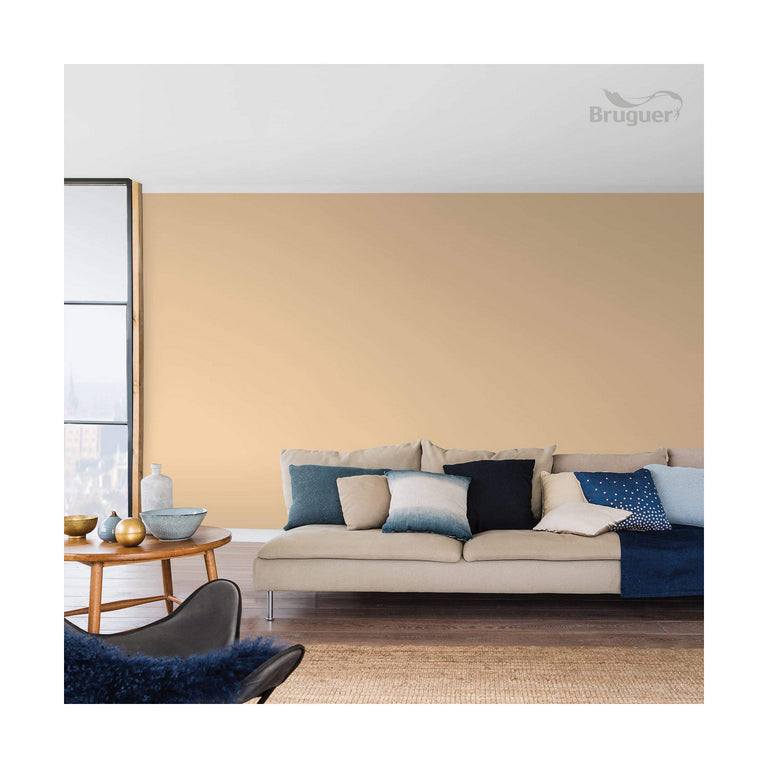 Peinture Bruguer 4 L