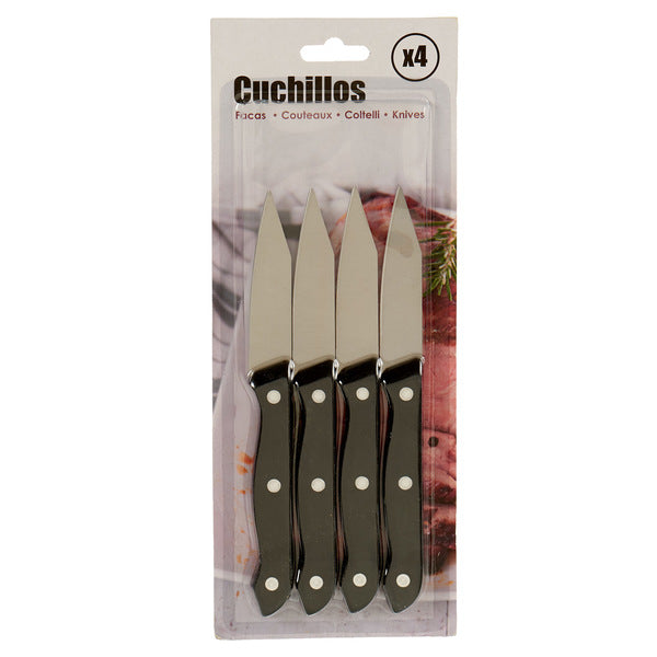 Eplucheur Métal Plastique (4 pcs) (1,5 x 28 x 11 cm)